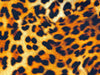 Yala Leopard - Leggings